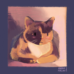 Portrait of Virgule, a tortoiseshell cat.
